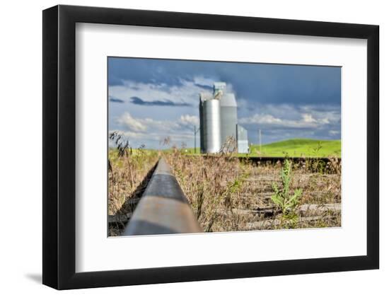Photographic Print, , large