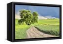 Canvas Black