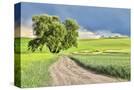 Stretched Canvas