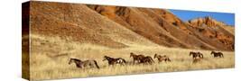 Stretched Canvas