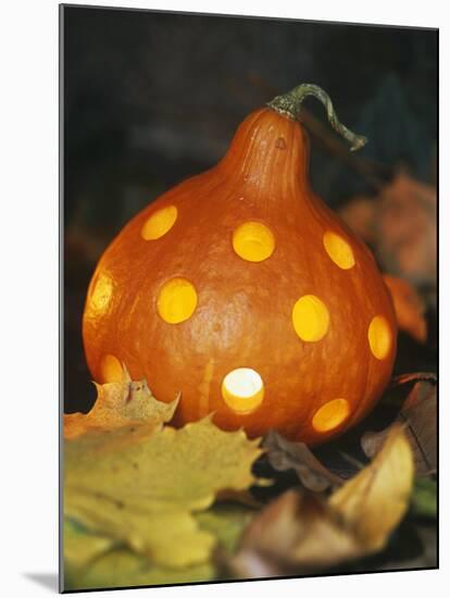 Hollowed Out Pumpkin with Holes and Light Inside-Alena Hrbkova-Mounted Photographic Print