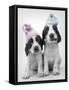 Holly and Mickey-Rachael Hale-Framed Stretched Canvas