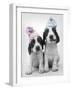 Holly and Mickey-Rachael Hale-Framed Photographic Print