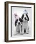 Holly and Mickey-Rachael Hale-Framed Photographic Print