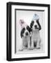 Holly and Mickey-Rachael Hale-Framed Photographic Print