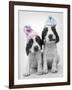 Holly and Mickey-Rachael Hale-Framed Photographic Print