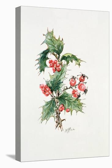 Holly and Rosehips-Nell Hill-Stretched Canvas