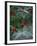 Holly Berries With Frost-Marilyn Parver-Framed Photographic Print