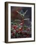 Holly Berries With Frost-Marilyn Parver-Framed Photographic Print