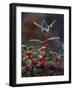 Holly Berries With Frost-Marilyn Parver-Framed Photographic Print