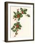 Holly Berry Border-null-Framed Giclee Print