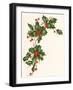 Holly Berry Border-null-Framed Giclee Print