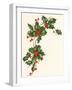 Holly Berry Border-null-Framed Giclee Print