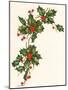 Holly Berry Border-null-Mounted Giclee Print