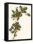 Holly Berry Border-null-Framed Stretched Canvas