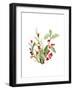 Holly Branches I-Lanie Loreth-Framed Art Print