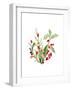 Holly Branches I-Lanie Loreth-Framed Art Print