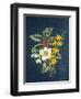 Holly, Christmas Rose, Snowdrop and Winter Jasmine-Ursula Hodgson-Framed Giclee Print