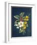 Holly, Christmas Rose, Snowdrop and Winter Jasmine-Ursula Hodgson-Framed Giclee Print