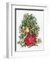 Holly Holiday Bouquet-Kathleen Parr McKenna-Framed Art Print