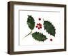 Holly Leaves and Berries, Belgium-Philippe Clement-Framed Photographic Print