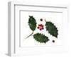 Holly Leaves and Berries, Belgium-Philippe Clement-Framed Photographic Print