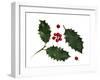 Holly Leaves and Berries, Belgium-Philippe Clement-Framed Photographic Print