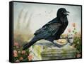 Canvas Black