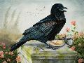 Just the Print