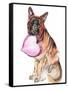 Canvas Black