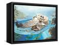 Canvas Black