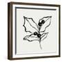 Holly Sketch I-Annie Warren-Framed Art Print