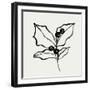 Holly Sketch I-Annie Warren-Framed Art Print