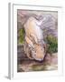 Holly, The Giant Continental Rabbit, 2002-Joan Thewsey-Framed Giclee Print