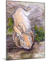 Holly, The Giant Continental Rabbit, 2002-Joan Thewsey-Mounted Giclee Print