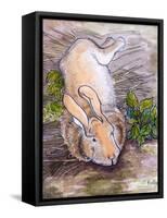 Holly, The Giant Continental Rabbit, 2002-Joan Thewsey-Framed Stretched Canvas