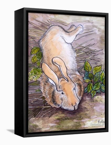 Holly, The Giant Continental Rabbit, 2002-Joan Thewsey-Framed Stretched Canvas