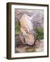 Holly, The Giant Continental Rabbit, 2002-Joan Thewsey-Framed Giclee Print