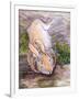 Holly, The Giant Continental Rabbit, 2002-Joan Thewsey-Framed Giclee Print