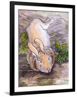 Holly, The Giant Continental Rabbit, 2002-Joan Thewsey-Framed Giclee Print