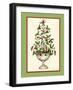 Holly Tree Topiary-Robin Betterley-Framed Giclee Print