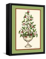 Holly Tree Topiary-Robin Betterley-Framed Stretched Canvas