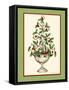 Holly Tree Topiary-Robin Betterley-Framed Stretched Canvas