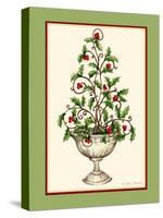 Holly Tree Topiary-Robin Betterley-Stretched Canvas