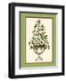 Holly Tree Topiary-Robin Betterley-Framed Premium Giclee Print