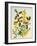 Holly, Winter Jasmine, Heath and Mistletoe-Ursula Hodgson-Framed Giclee Print