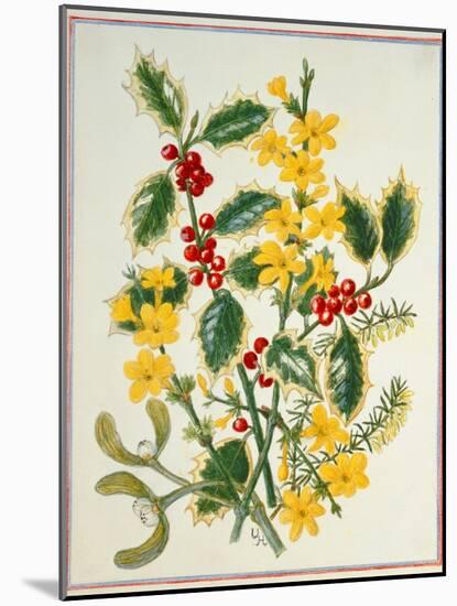 Holly, Winter Jasmine, Heath and Mistletoe-Ursula Hodgson-Mounted Giclee Print