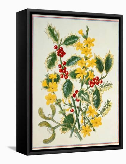 Holly, Winter Jasmine, Heath and Mistletoe-Ursula Hodgson-Framed Stretched Canvas