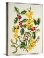 Holly, Winter Jasmine, Heath and Mistletoe-Ursula Hodgson-Stretched Canvas