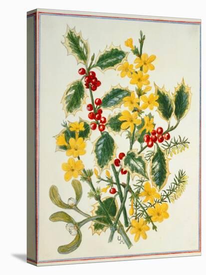 Holly, Winter Jasmine, Heath and Mistletoe-Ursula Hodgson-Stretched Canvas